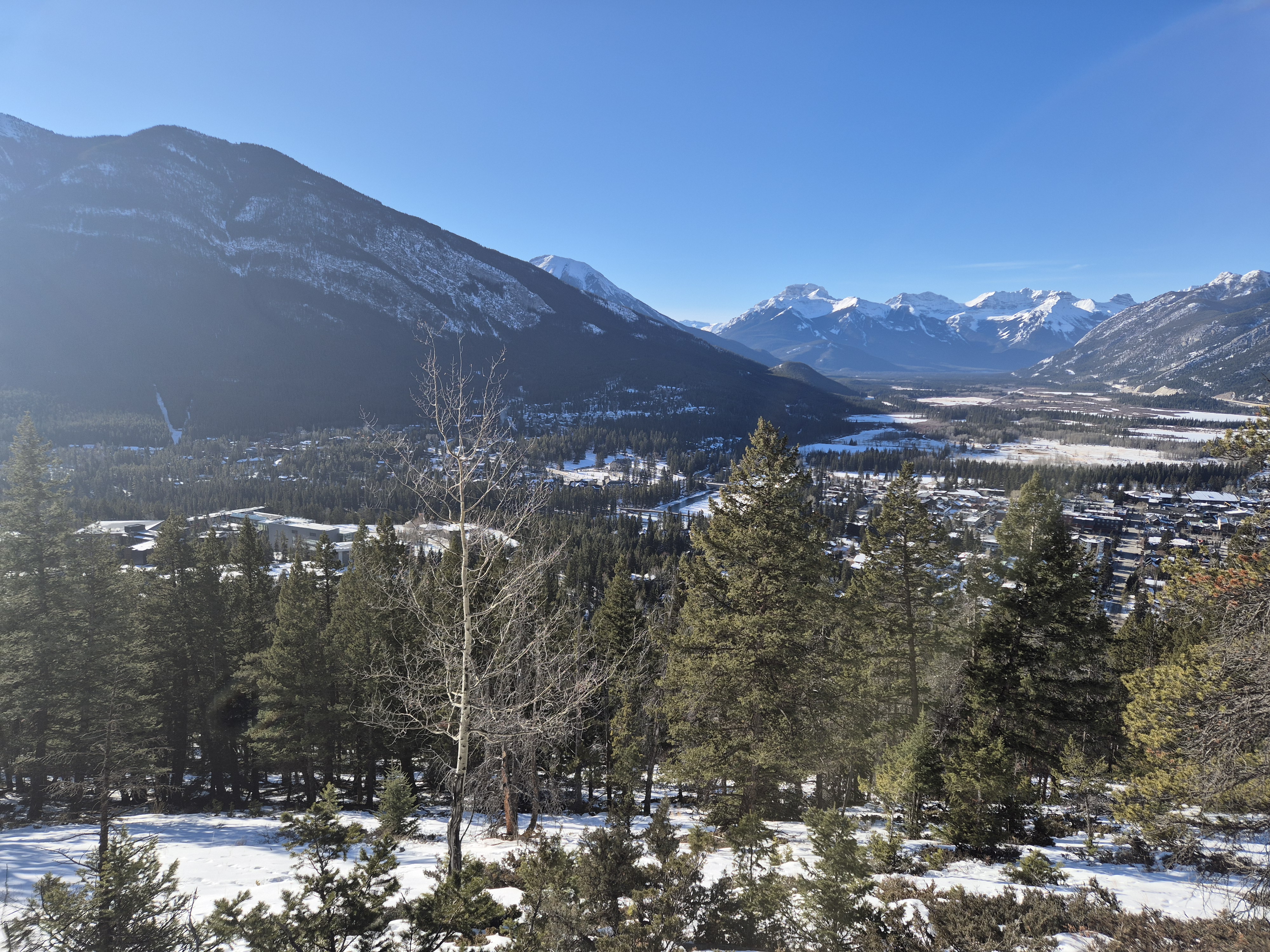 Description of the image
